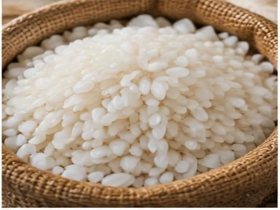 Arroz Jasmim produto por grosso