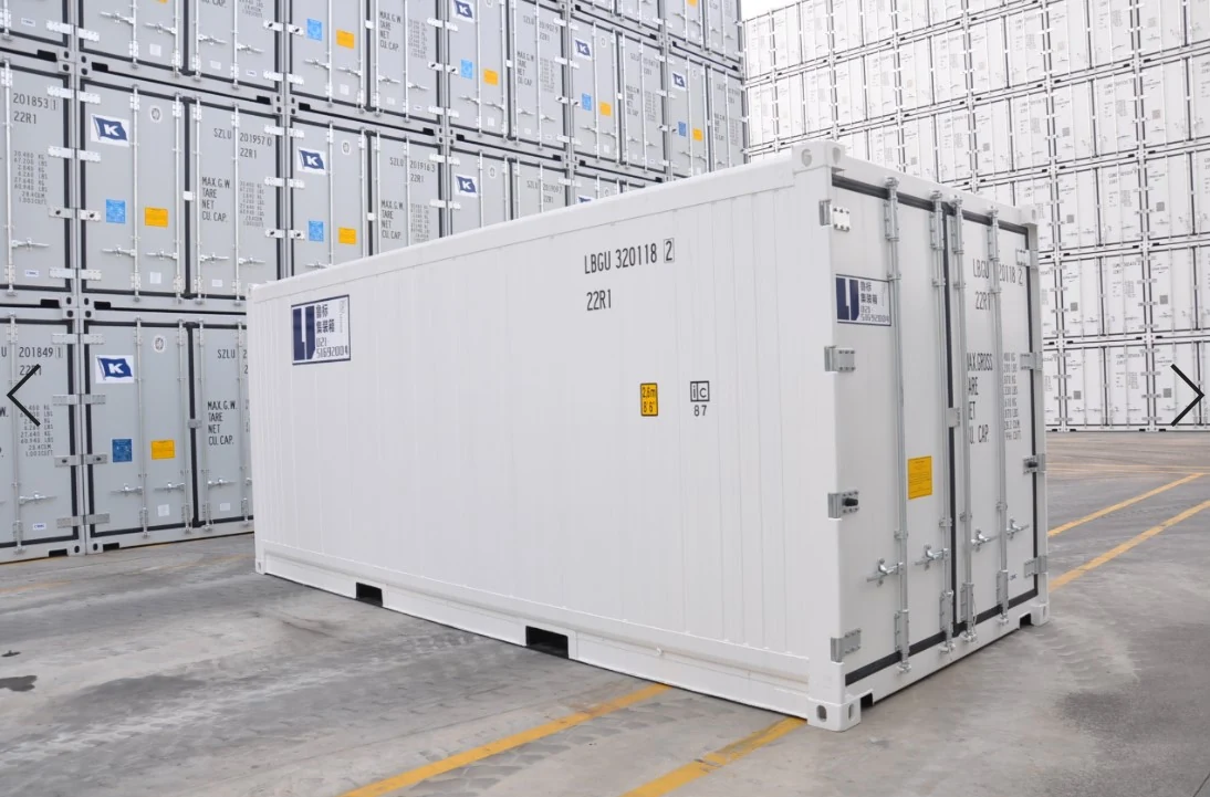 Contentor Reefer de 20 pés produto por grosso