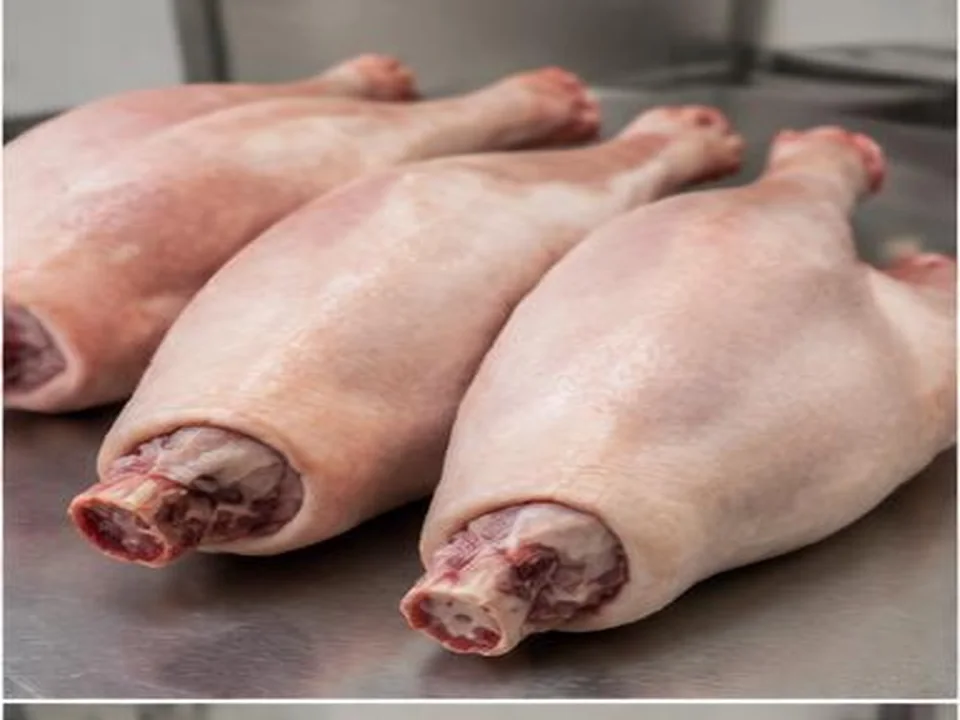 Pernas de Porco produto por grosso