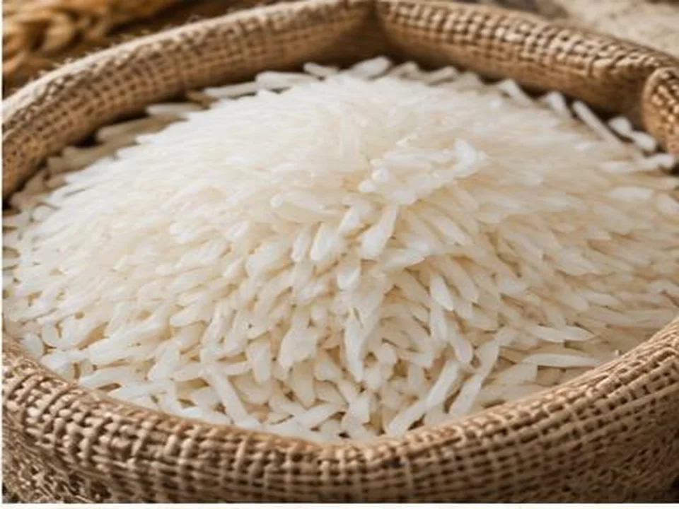 Arroz Agulha produto por grosso