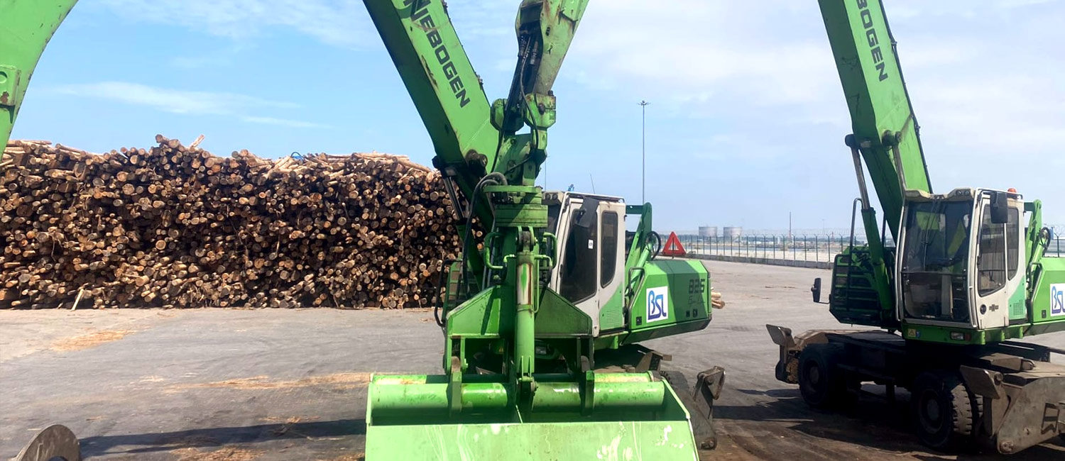 Madeira Industrial produto por grosso