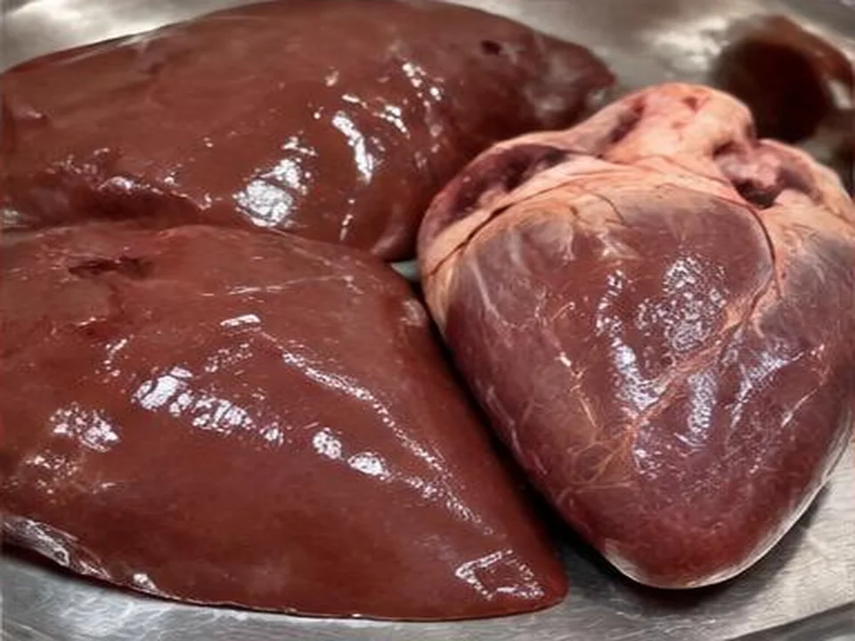 Fígado e Coração de Bovino produto por grosso