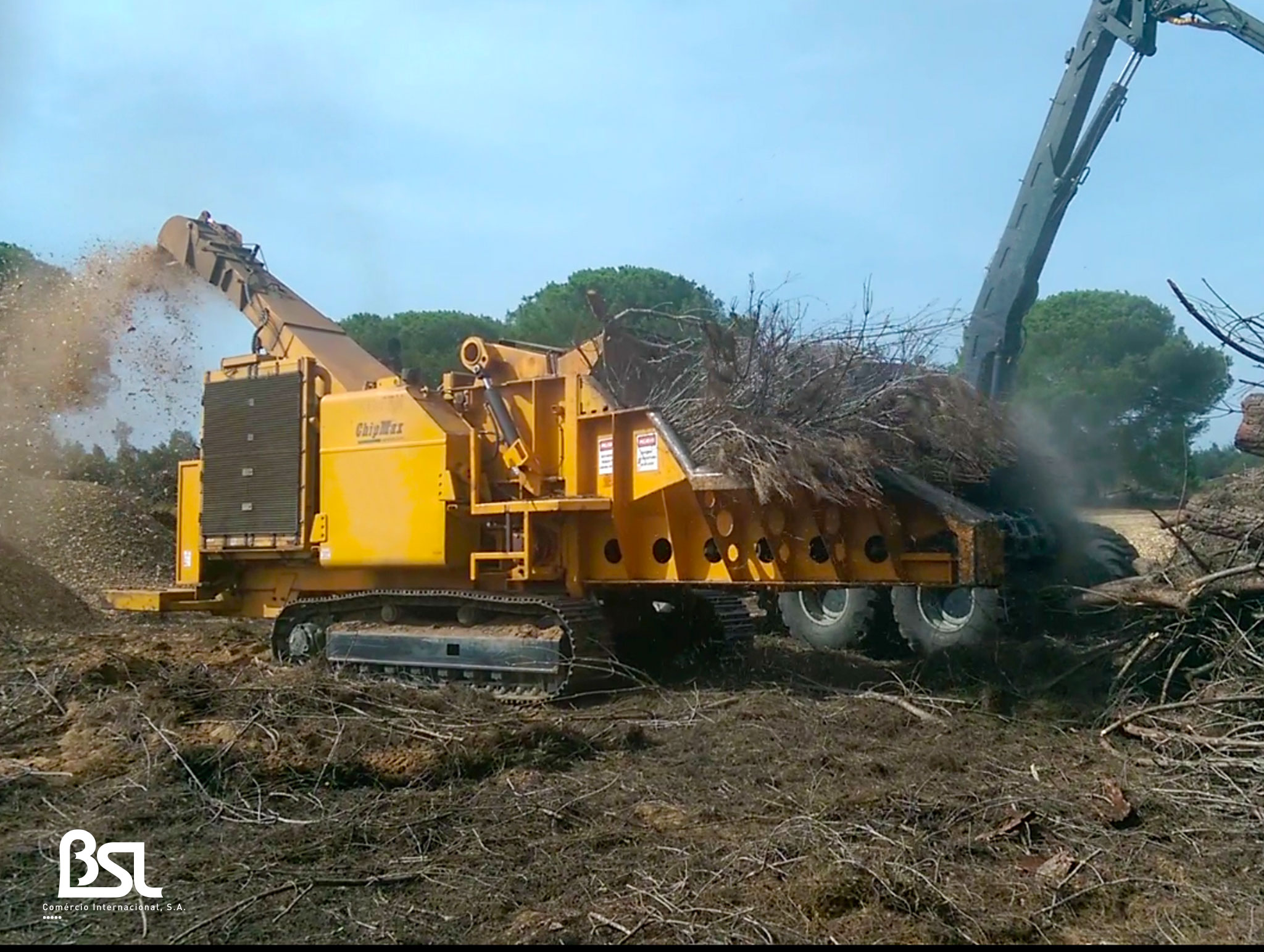 Estilha para Energia produto por grosso