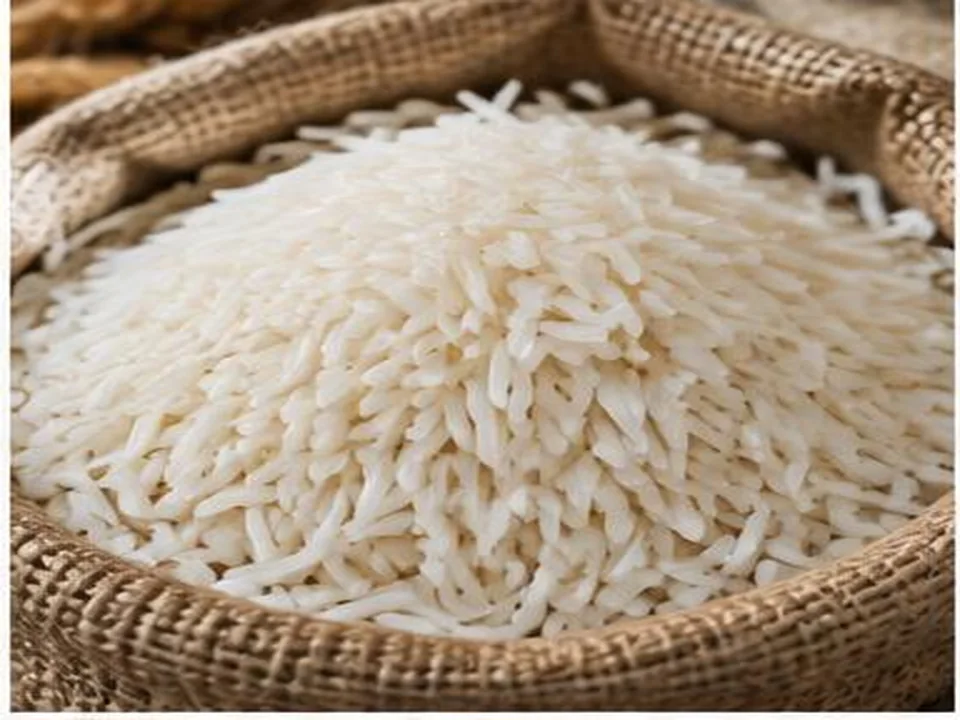 Arroz Basmati produto por grosso