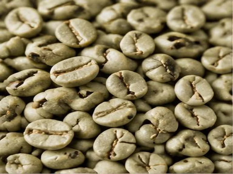 Green Coffee Beans wholesale product