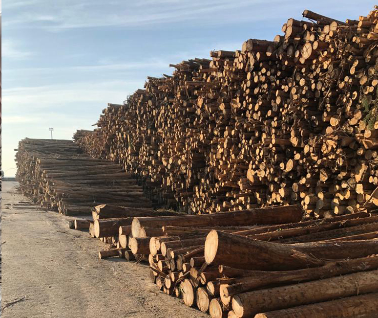 Forestry & biomass