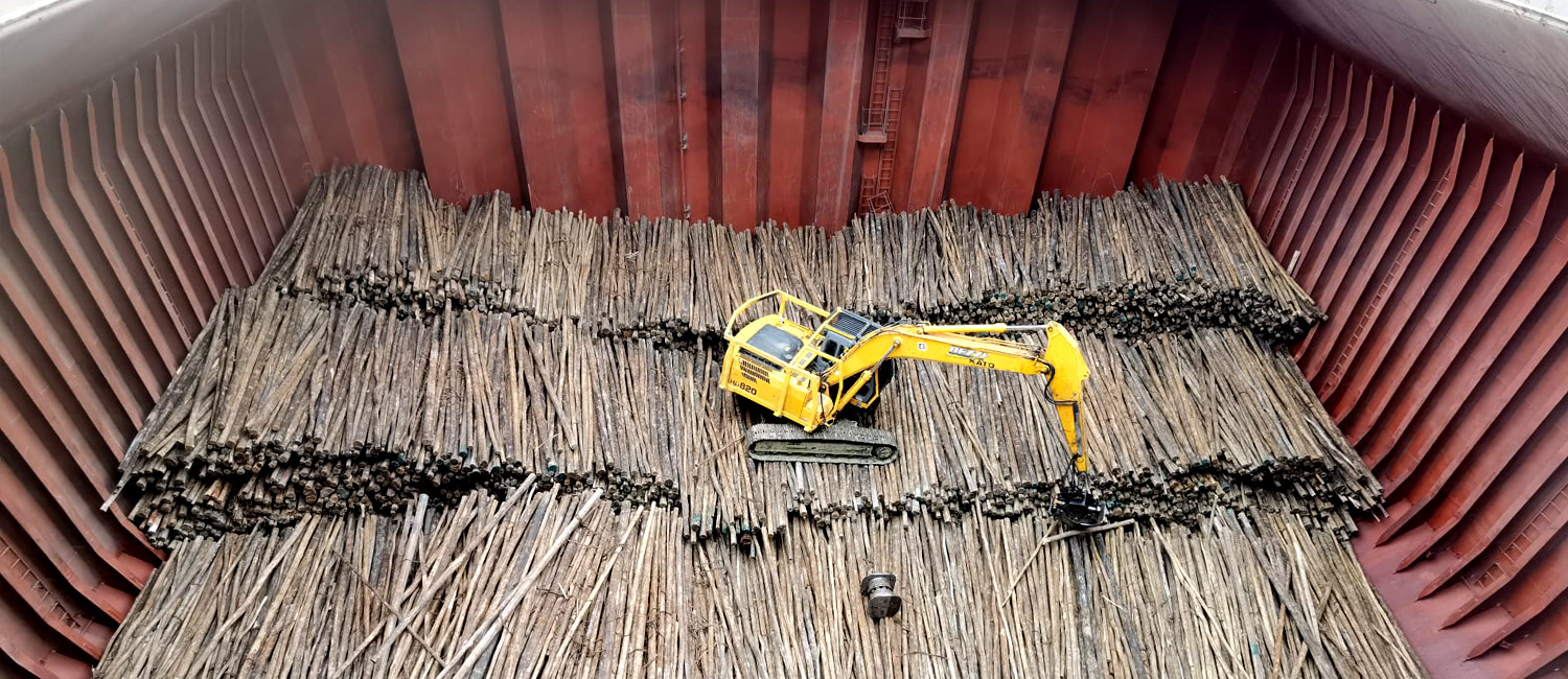 BSL forestry, timber or biomass operation