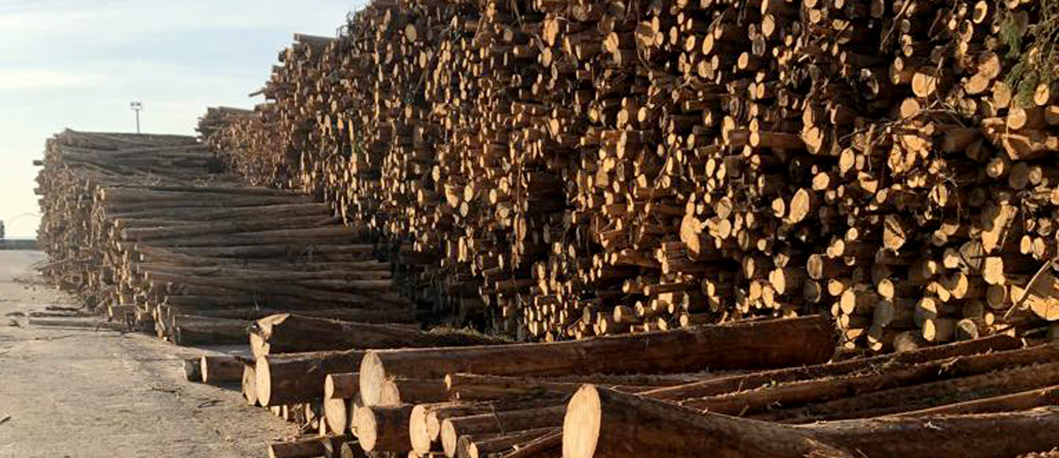 BSL forestry, timber or biomass operation