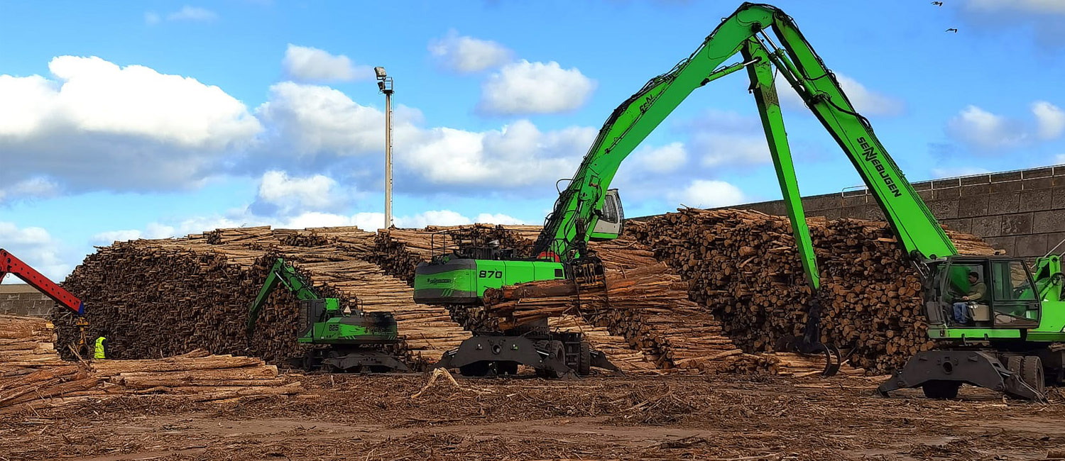 Pulp-Quality Logs wholesale product