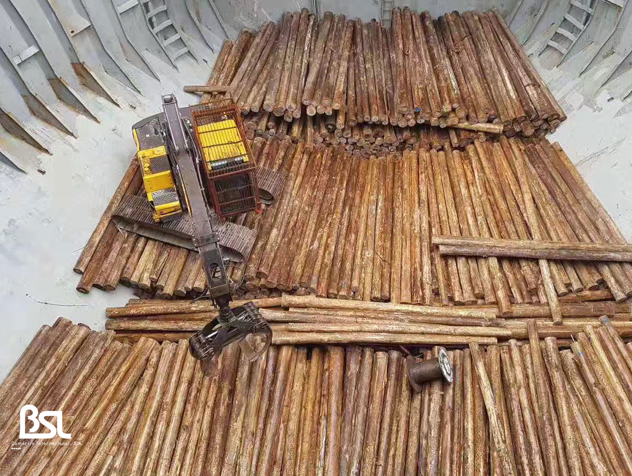 Eucalyptus Logs — With Bark wholesale product