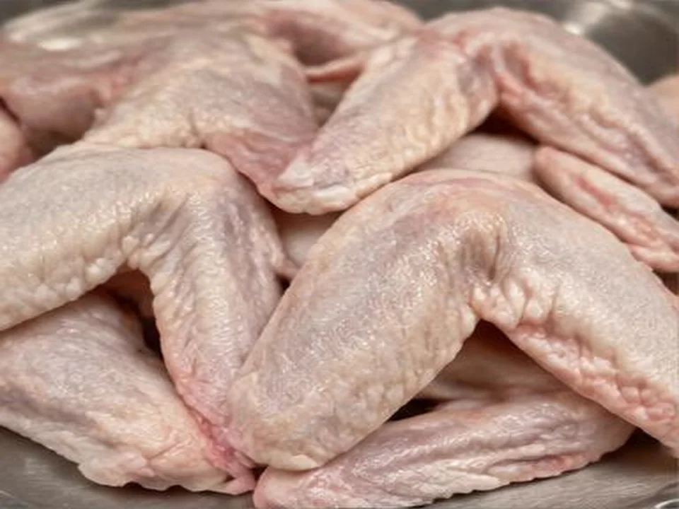 Asas de Frango produto por grosso