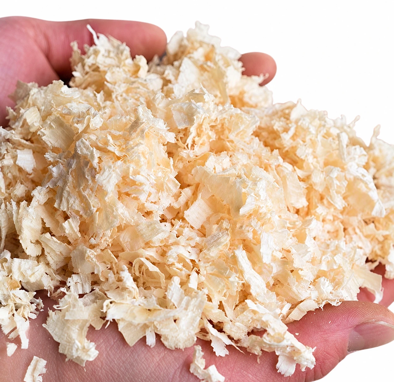 Wood Shavings view 2